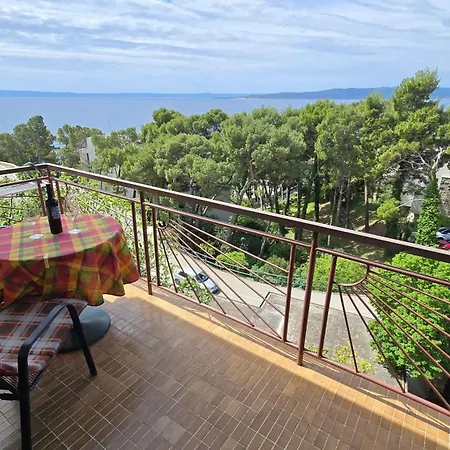 And Berulia Baška Voda